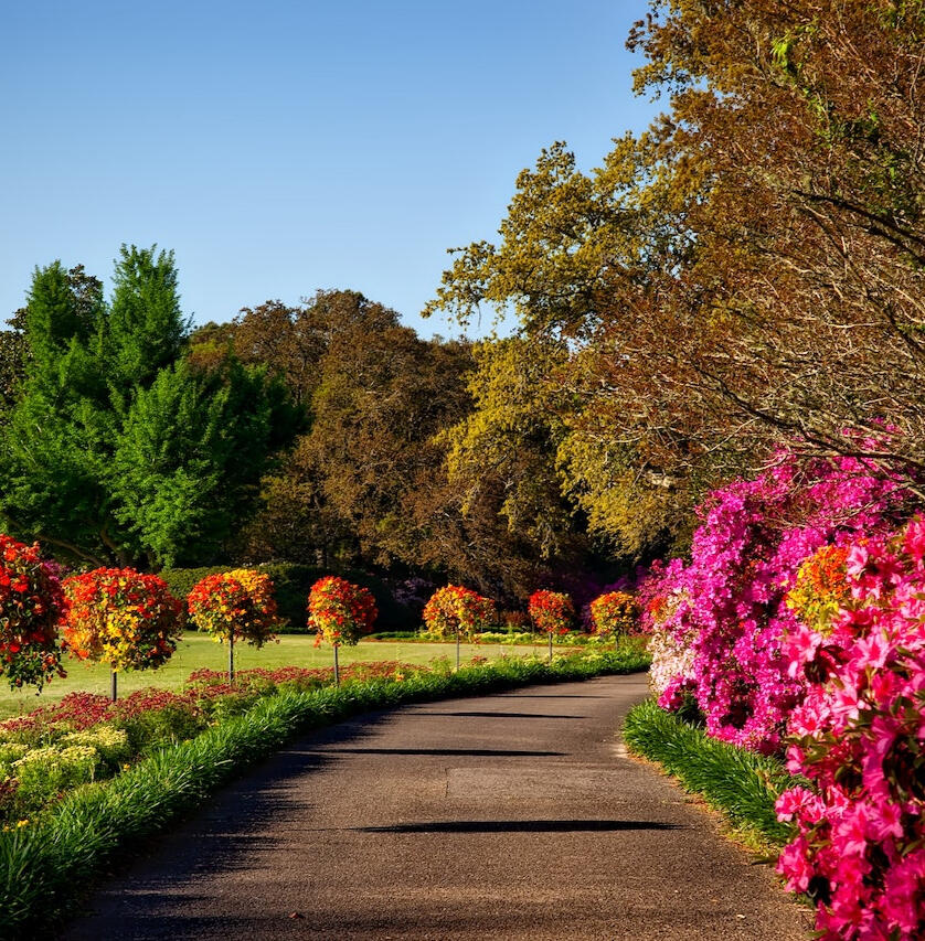 gardens